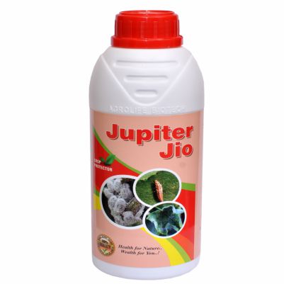 Jupiter Jio