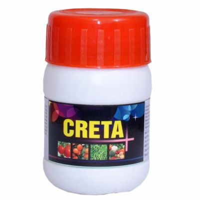 Creta Plus